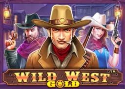 takahashihinako: Wild West Gold