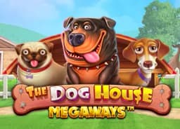 takahashihinako: The Dog House Megaways